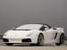 2007-IMSA-Lamborghini-Gallardo-Spyd.jpg